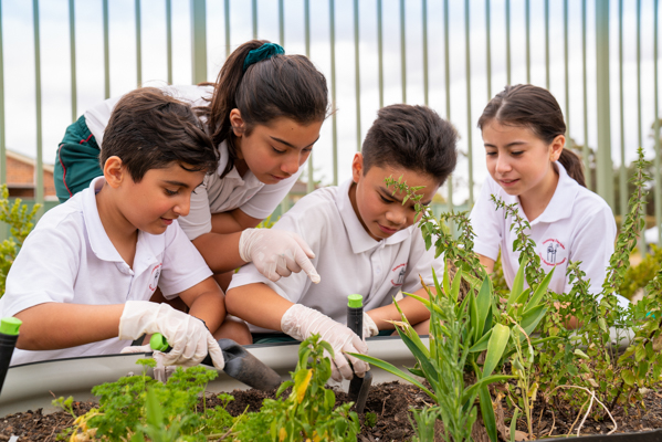 GoodShepherdCatholicPrimarySchoolHoxtonPark_AboutUs_Facilities_OutdoorLearningSpaces